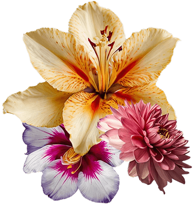floral accord